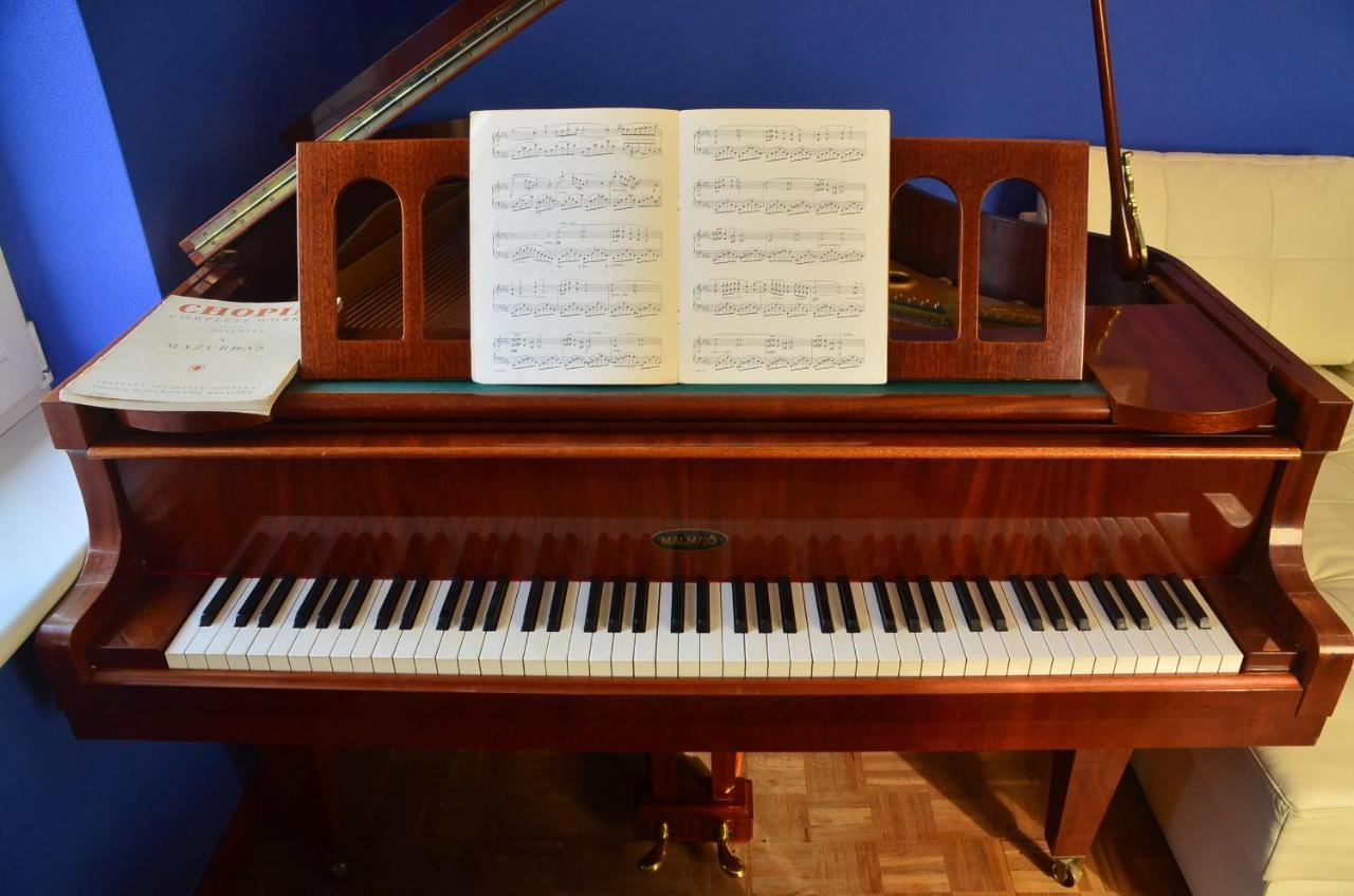 Apartament Dark Amber- 3 Rooms Grand Piano سفينويتشي المظهر الخارجي الصورة
